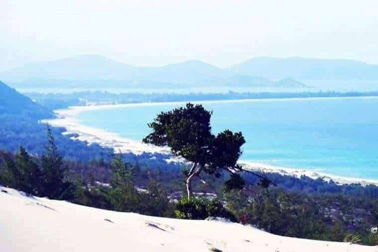 Đồi Cát Từ Nham - Tuyệt Tác Thiên Nhiên Không Nên Bỏ Lỡ Đường đến đồi cát Từ Nham