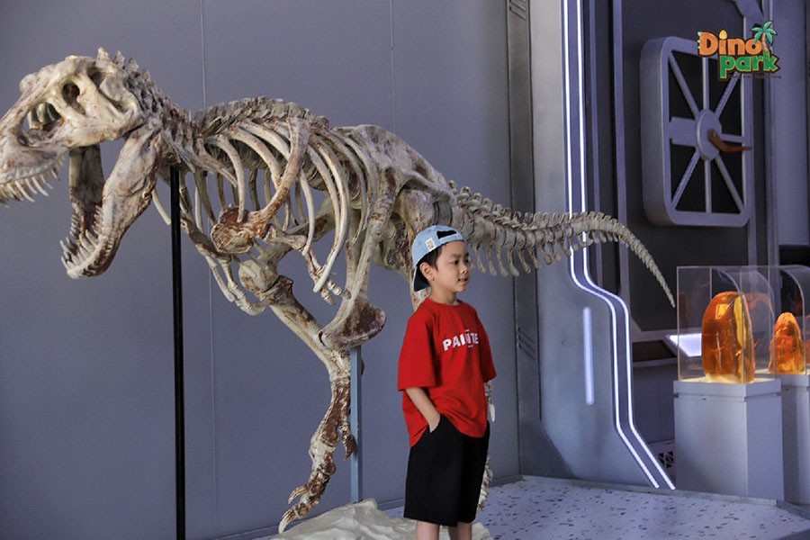 Bán vé vào cửa Dino Park - Lãnh địa khủng long lớn nhất Việt Nam tại Novaworld