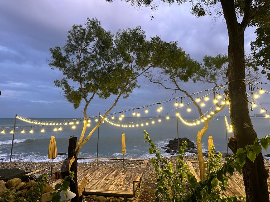 Bãi dài Camping, Nha Trang (giá cập nhật 2025)