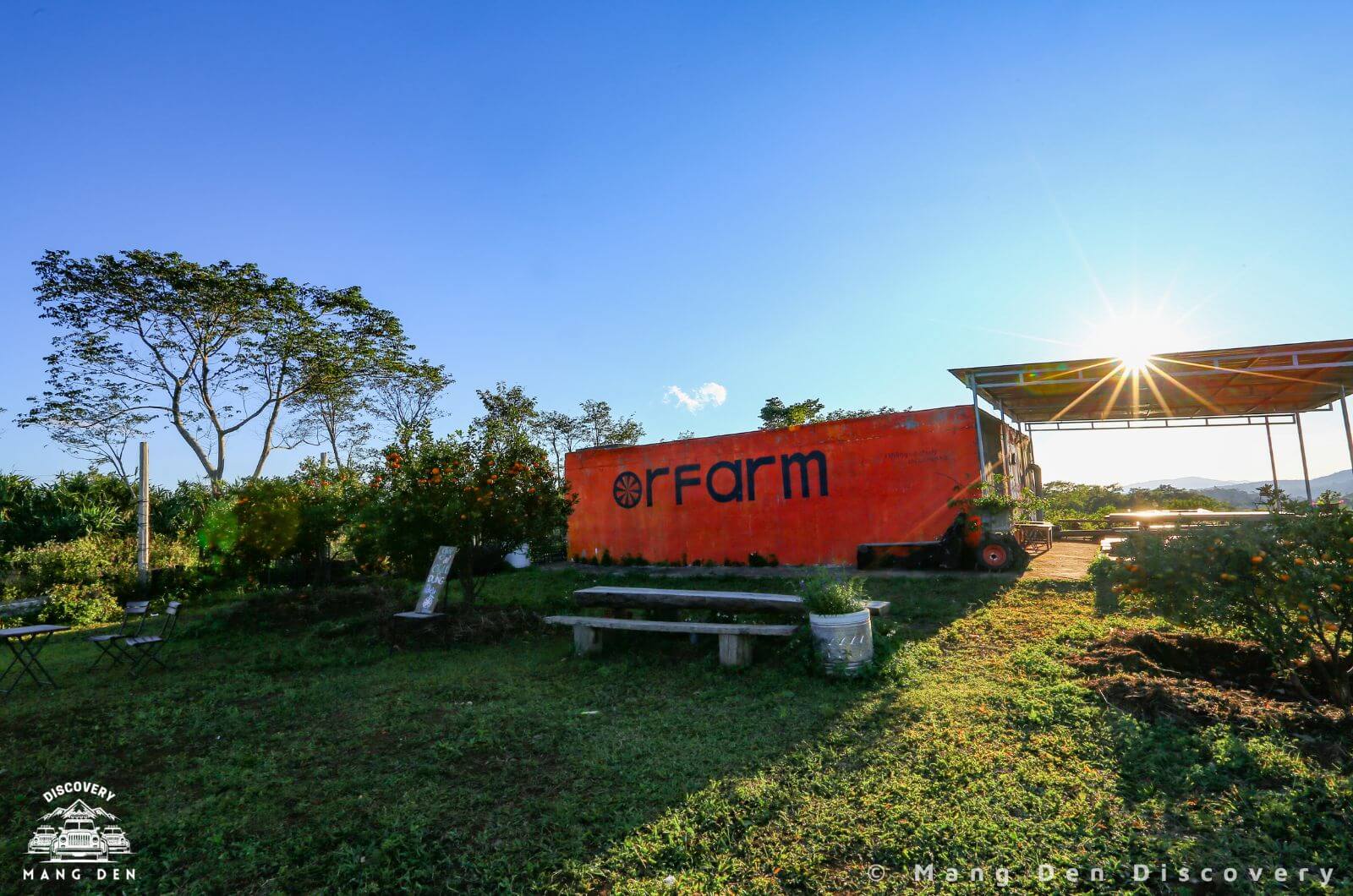 Orfarm - Vườn cam đẹp nhất Măng Đen - Mang Den Discovery