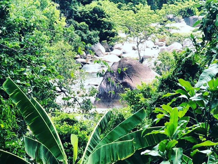6.6ha wiew đẹp SUỐI ĐÁ, TÀ RỤC CAM SƠN