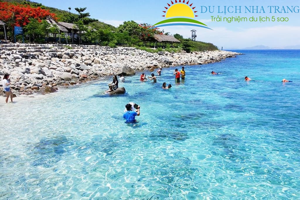 Cho thuê cano đi tham quan các đảo ở Nha Trang: Giá rẻ bất ngờ | Du Lịch Nha Trang