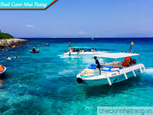 Kinh nghiệm thuê cano Nha Trang – Uy tín chất lượng 2025 - Checkin Nha Trang