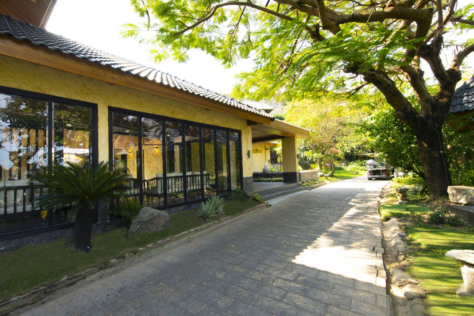 anh cac phong