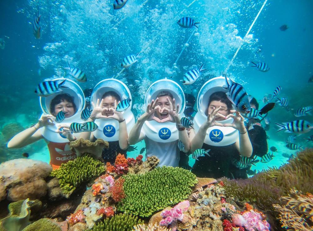 Review trải nghiệm lặn ngắm san hô Nha Trang từ A đến Z | Adavigo.com