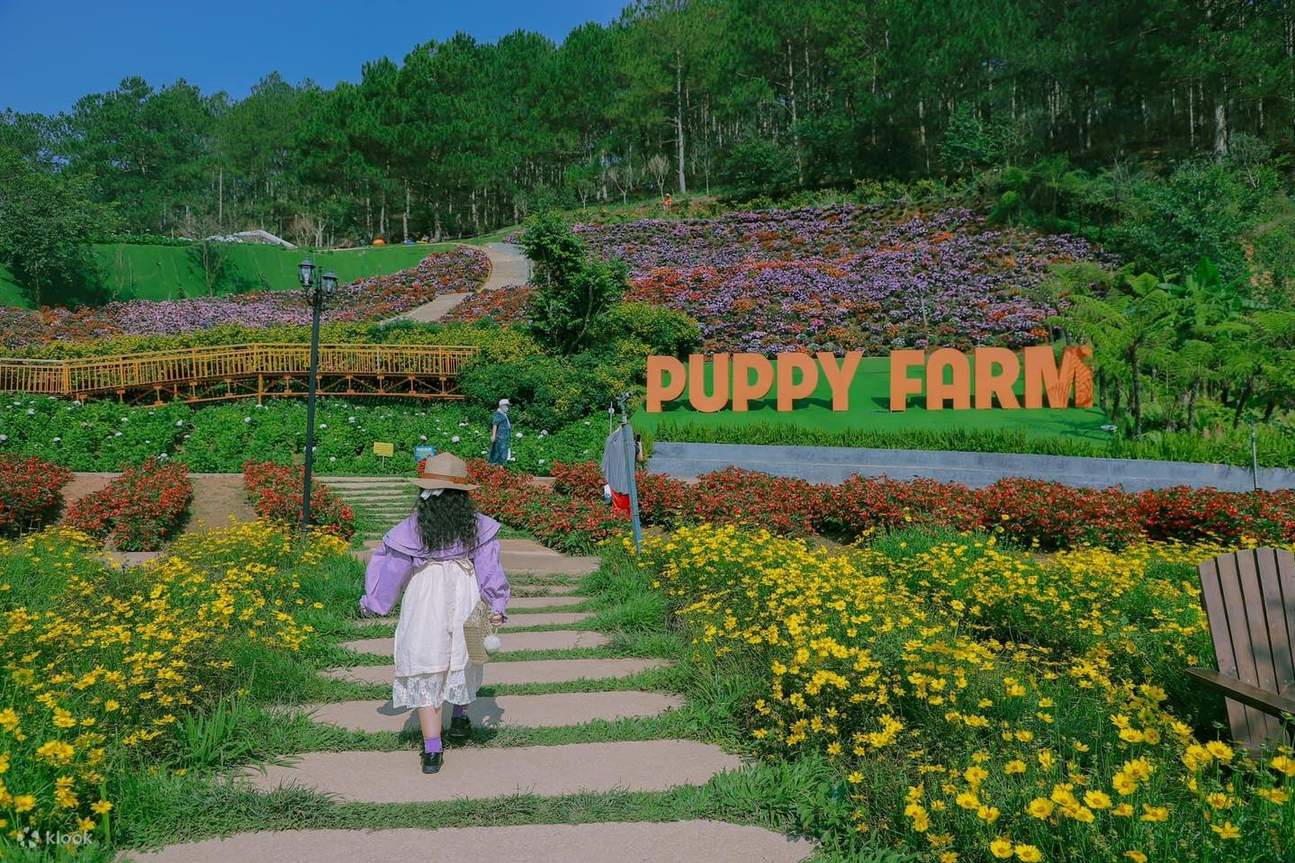 Puppy Farm Ticket in Da Lat - Klook