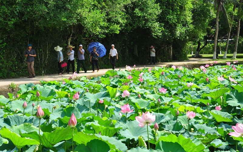 Làng Sen như thể quê chung | Báo Dân tộc và Phát triển