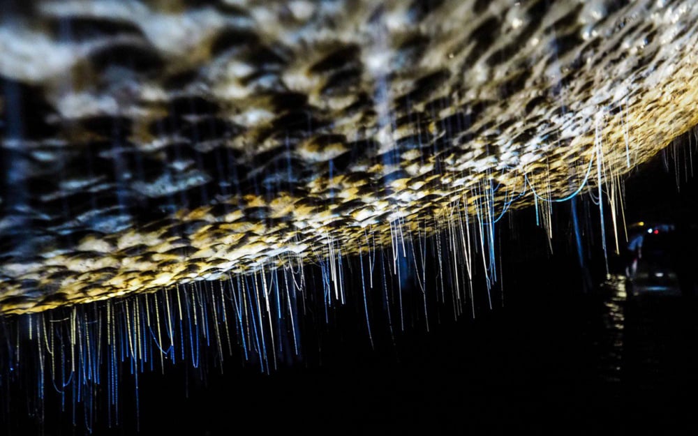 Khám phá vẻ đẹp hang Thẳm Phầy - “Sơn Đoòng thu nhỏ” của Ba Bể