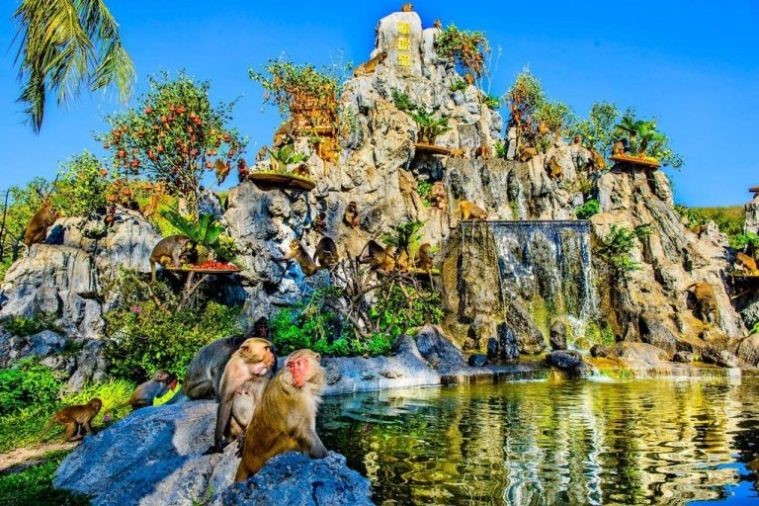Đảo Khỉ Nha Trang - Thế giới của loài khỉ ở thành phố biển