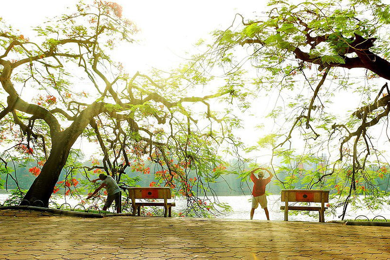 Tháp Rùa (Thap Rua Tower) Hà Nội, Việt Nam