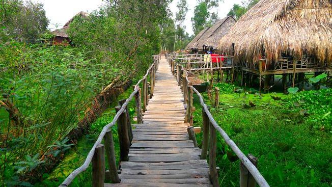 Khu du lịch Gáo Giồng Đồng Tháp nơi hòa mình với thiên nhiên - Vntrip.vn