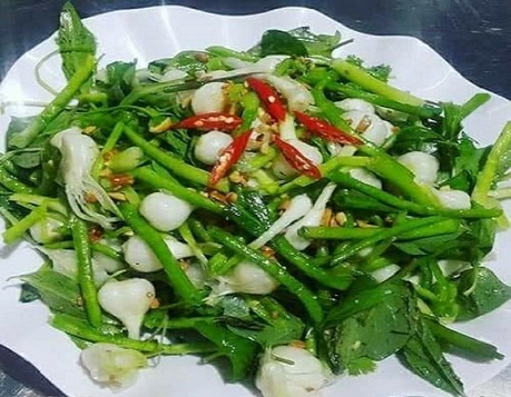Tỏi non Lý Sơn - Chuyên Tour Đảo Lý Sơn Hàng Ngày, Câu Cá Mực, Soi Biển  Đêm, Kéo Lưới hấp dẫn thú vị - Tour trọn gói, Giá Rẻ Chất Lượng.