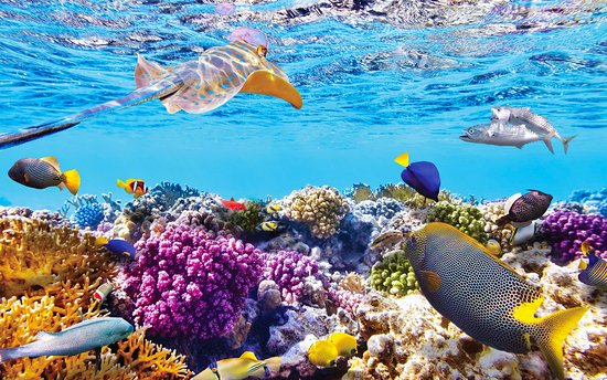 🥇 TOUR NINH CHỮ - VỊNH VĨNH HY ™ ⭐TravelSGCC⭐ Ngày【10 Tháng Chín, 2025】 Việt Nam