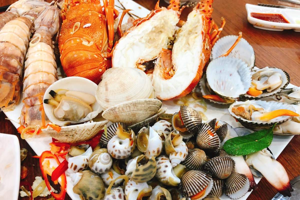 Cẩm nang lặn ngắm san hô Vĩnh Hy từ A tới Z dành cho bạn