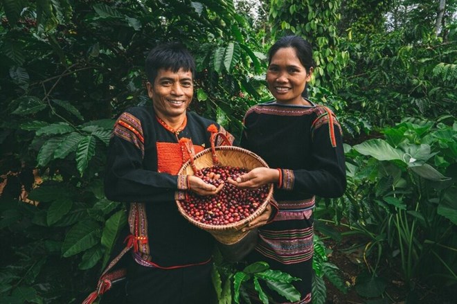 Điều thú vị tại Lễ hội cà phê Buôn Ma Thuột năm 2025