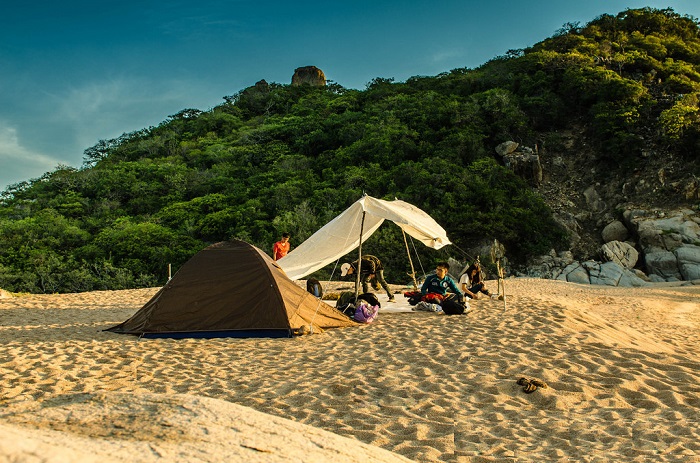 Ghé đến bãi Hỏm Ninh Thuận để xem rùa biển đẻ trứng