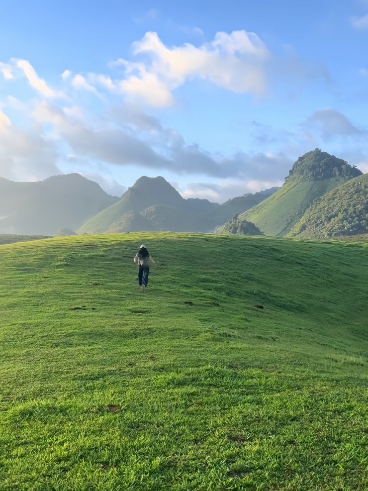 Check-in Đồi Sim Suối Bon, săn mây ngắm hoa tím tuyệt đẹp
