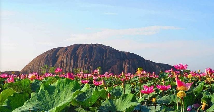 Những tảng đá khổng lồ tại Gia Canh