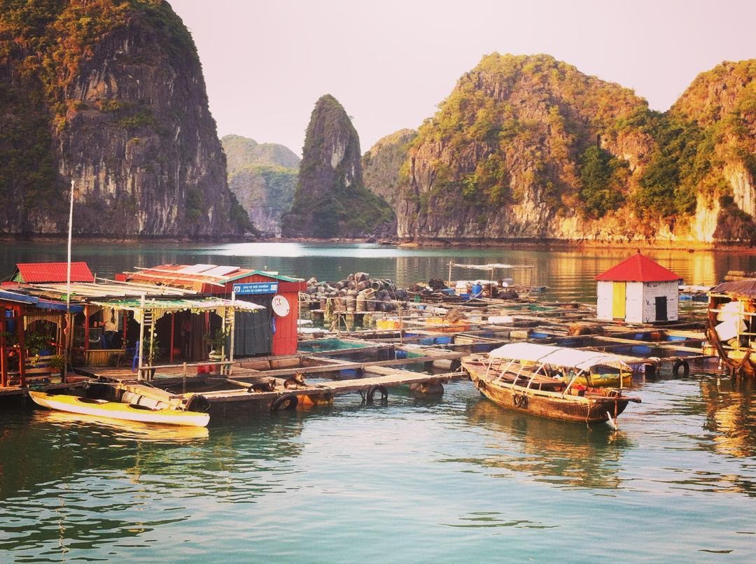 Làng chài Cửa Vạn- điểm đến không thể bỏ qua khi du lịch Hạ Long