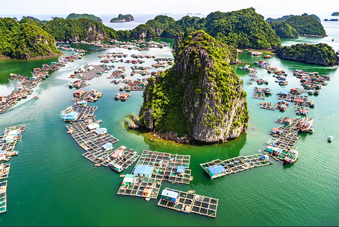 Làng chài Cửa Vạn | Kinh nghiệm ĐI LẠI & KHÁM PHÁ chi tiết