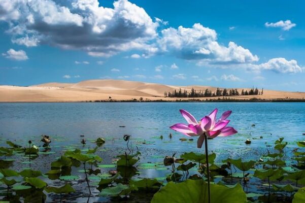 Cung đường biển Hòa Thắng