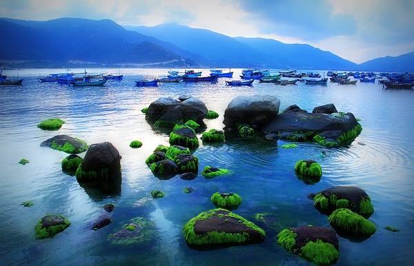 Du lịch đảo Bình Hưng: cẩm nang từ A đến Z